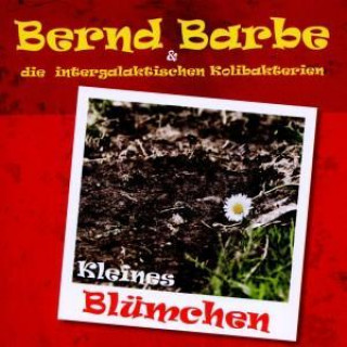 Kleines Blümchen