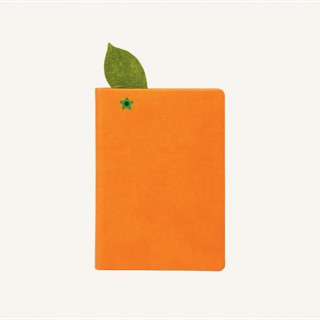 Juicy Notebook: Orange
