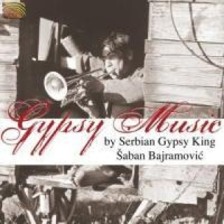 Gypsy Music By Serbian Gypsy King