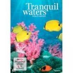 Tranquil waters