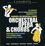 Camarata-Orchestral Opera