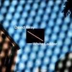 White Ladder