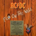 Fly On The Wall