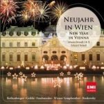 Neujahr In Wien-New Year