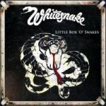 Little Box 'o' Snakes-Sunburst Years 1978-1982