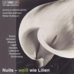 Nuits-weiss wie Lilien