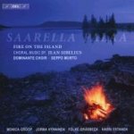 Saarella palaa-Feuer auf der Insel