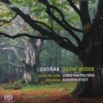 Silent Woods-Stille Wälder