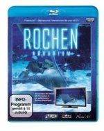 Rochen-Aquarium