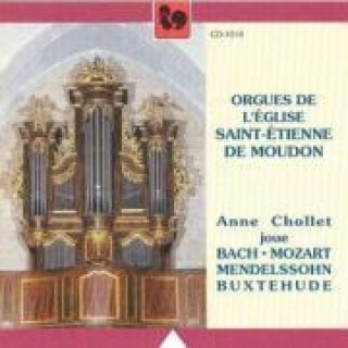 Die Orgeln In St Etienne In Moudon