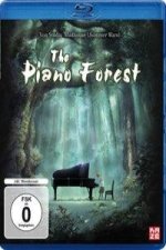 The Piano Forest