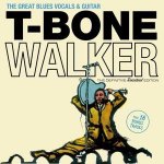 The Great Blues Vocals & Guitar+16 Bonus