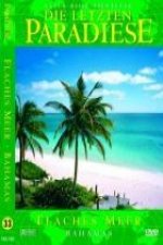 Flaches Meer-Bahamas