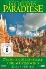 Kalifornien-Zwischen Meereswald Und Wüstenwind