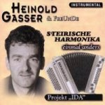 Steirische Harmonika einmal anders