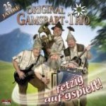25 Jahre Fetzig Auf Gspielt!