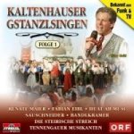 Kaltenhauser Gstanzlsingen