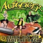 Geigen Bis Die Lederne Rockt