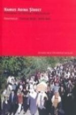 Namus Adina Siddet; Kuramsal ve Siyasal Yaklasimlar