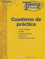 Tesoros de Lectura, a Spanish Reading/Language Arts Program, Grade K, Practice Book, Student Edition