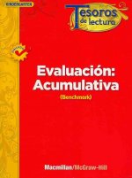 Tesoros de Lectura, a Spanish Reading/Language Arts Program, Grade K, Summative Assessment Book