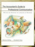 Accountants Guide to Professional Communication: Writing and Speaking the Language of Business