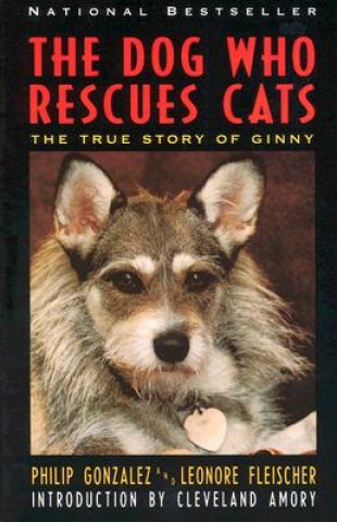 Dog Who Rescues Cats: True Story of Ginny