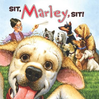 Sit, Marley, Sit!