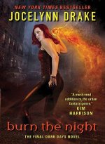 Burn the Night: The Final Dark Days Novel