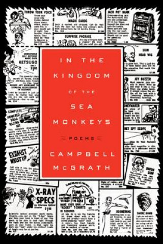 In the Kingdom of the Sea Monkeys
