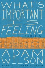 What's Important Is Feeling