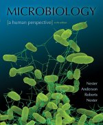 Microbiology: A Human Perspective; Special Binder-Ready Version