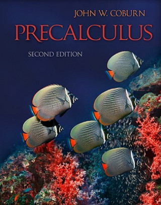 Precalculus: Special Binder-Ready Version