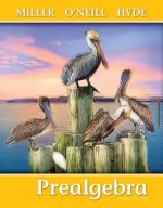 Create Only Student Solutions Manual for Prealgebra