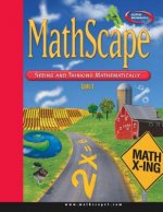 Mathscape: Seeing and Thinking
