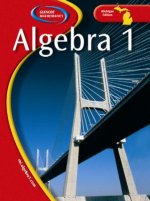 Michigan Algebra 1