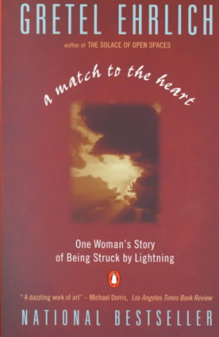 A Match to the Heart: One Woman's Story of Being Struck by Lightning