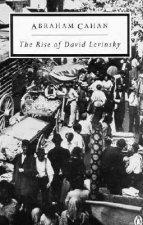 Rise of David Levinsky