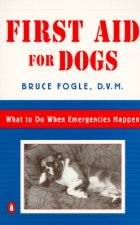 First Aid for Dogs: What to Do When Emergencies Happen