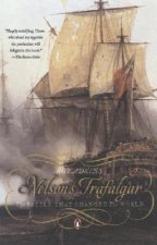 Nelson's Trafalgar: The Battle That Changed the World