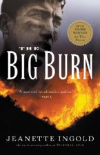 Big Burn