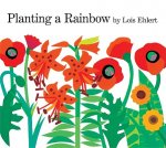 Planting A Rainbow