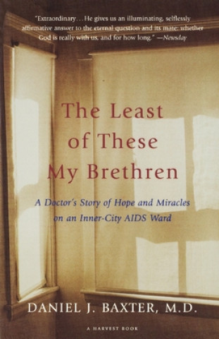 The Least of These My Brethren: A Doctor S Story of Hope and Miracles in an Inner-City AIDS Ward