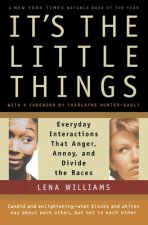 It's the Little Things: Everyday Interactions That Anger, Annoy, and Divide the Races