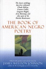 The Book of American Negro Poetry: Revised Edition