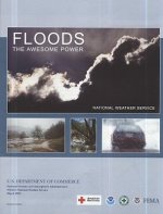 Floods: The Awesome Power: The Awesome Power (Sold in Packages of 25 Copies)