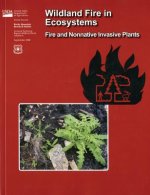 Wildland Fire in Ecosystems: Fire and Nonnative Invasive Plants: Fire and Nonnative Invasive Plants