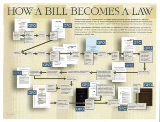 How a Bill Becomes a Law Poster: Package of 25 Copies