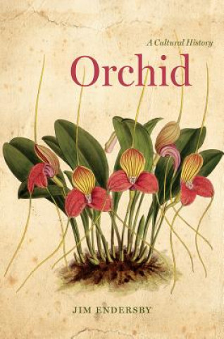 Orchid