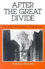 After the Great Divide: Modernism, Mass Culture, Postmodernism